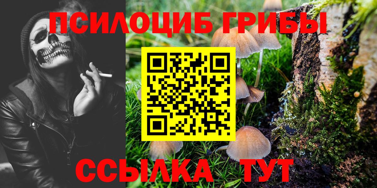 Галлюциногенные грибы мицелий Самара