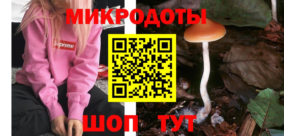 Псилоцибиновые грибы мицелий  Вход с VPN  Самара 